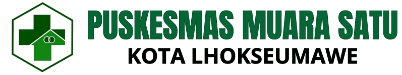 DINAS KOMUNIKASI INFORMATIKA DAN PERSANDIAN KOTA LHOKSEUMAWE